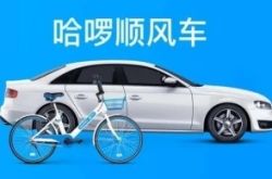 （9分钟科普下）大连信息咨询公司排名_哔哩哔哩